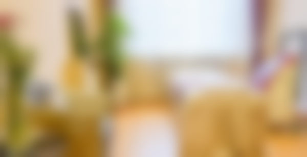 八、哈尔滨艺星医疗美容门诊部真实的顾客评价如下：