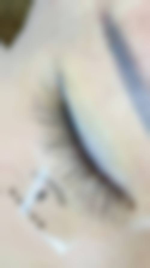 四、韩国永长（Woomchan）毛发移植医院基本信息：