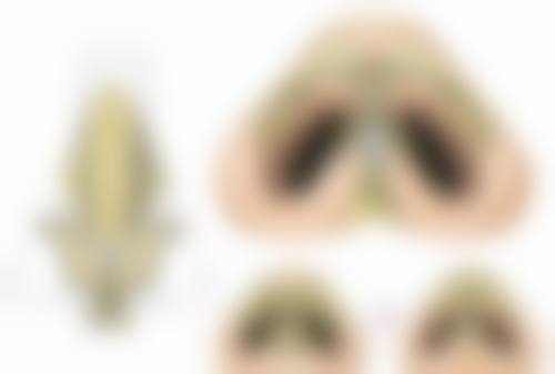 八、江苏施尔美整形美容医院真实的顾客评价如下：