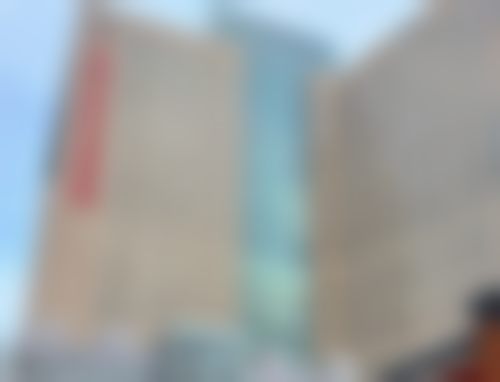 七、国内人民解放军北部战区总医院（整形美容中 心）价格表：（仅供参考）