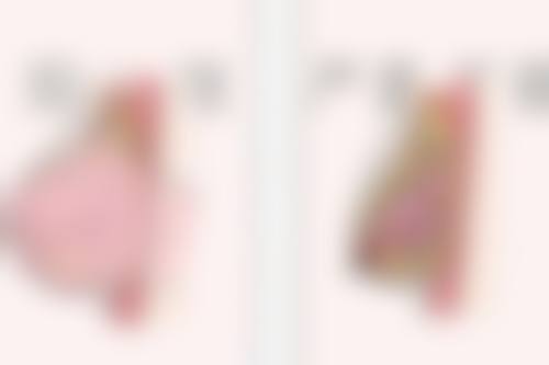 五、韩国伍人整形外科医院实例