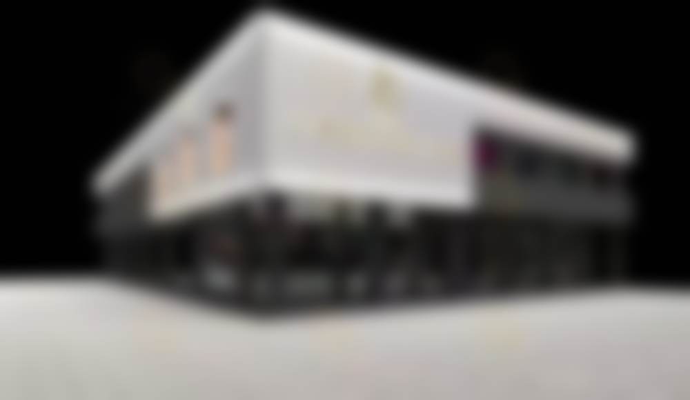 揭秘！遗传因素——家族基因带来的眼部特征