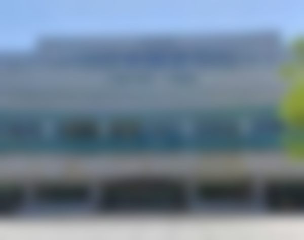 张晓丽医生在哪家医院怎么预约？