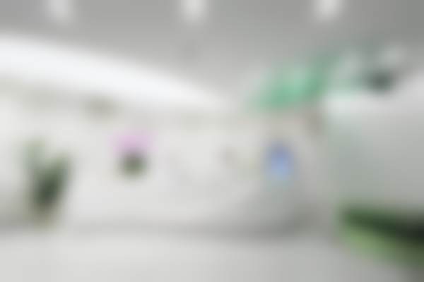 广州市郑少雄医生：眼鼻综合整形的不错技艺