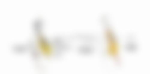 鼻头修复相关术后护理要点