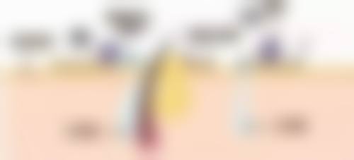 张乐生医生在哪家医院怎么预约？