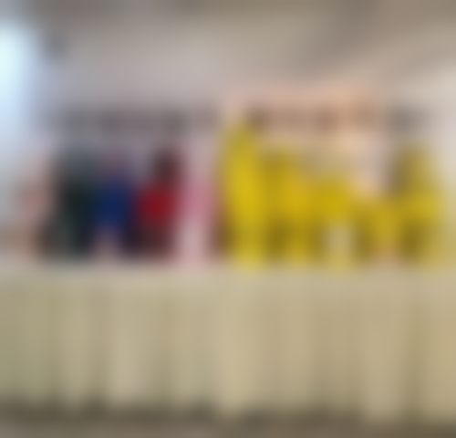 董振华