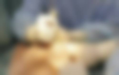 六、重庆简熙(好美新妍)医疗美容门诊部怎么预约