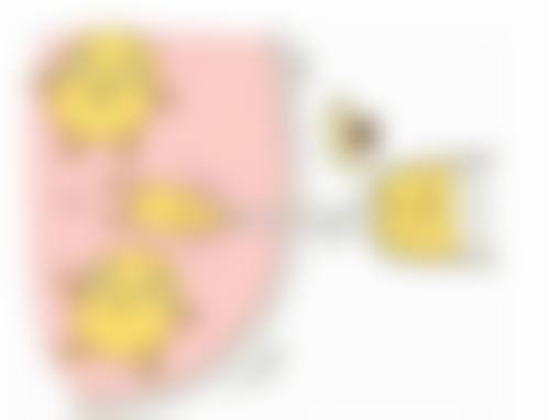 儿童眼袋发青调养之过敏原规避与炎症处理