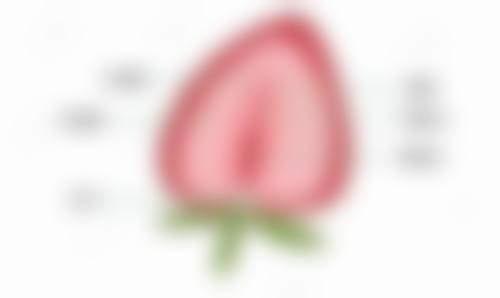五、天津津美仁医疗整形医院实例