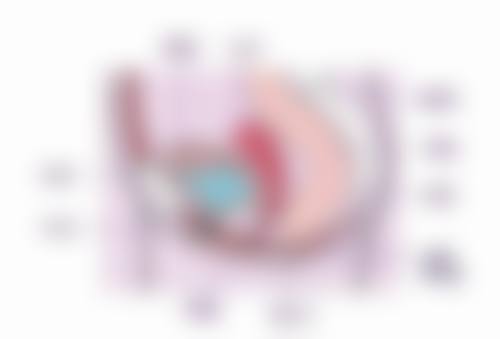 六、天津津美仁医疗整形医院怎么预约: