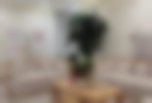 李楚红