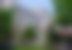 罗羽