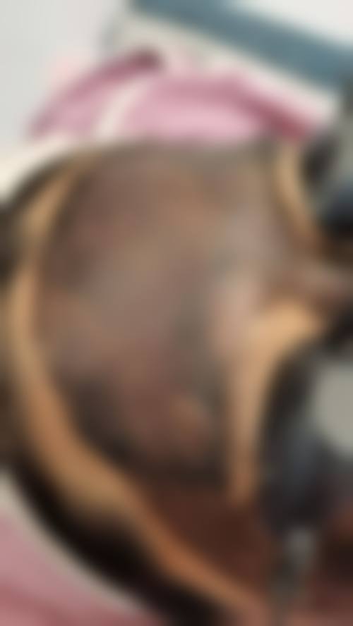 六、南京星海荟医疗美容医院怎么预约: