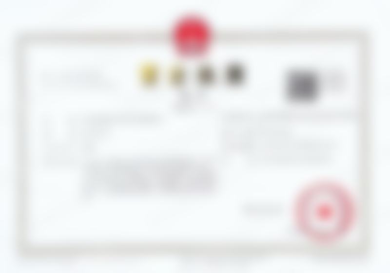辽宁省王璐阳和程超:技术优势分析